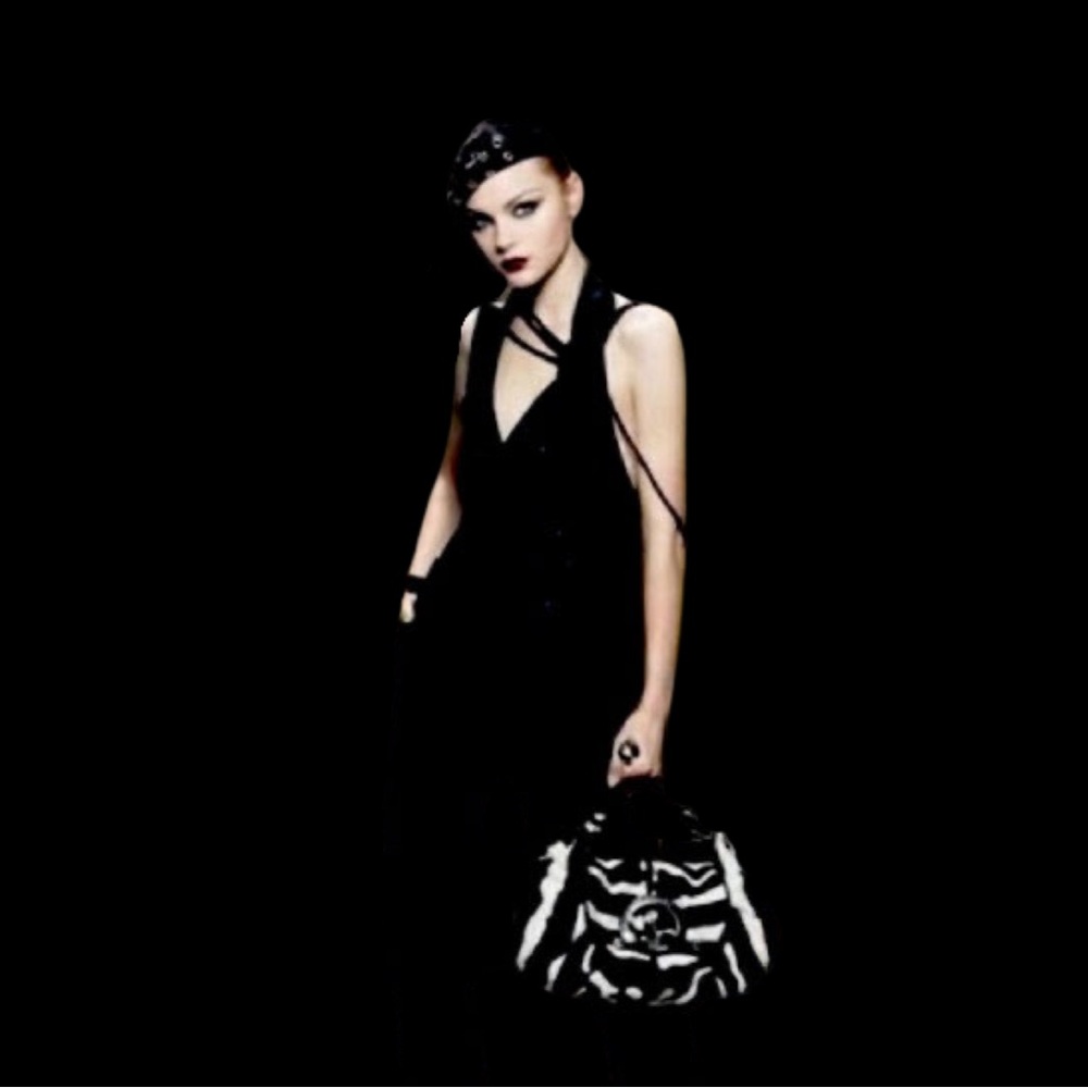 Christian Dior Soft Babe Calf Hair Zebra Animal Vintage JazzClub Collection Bag - Picture 12 of 16